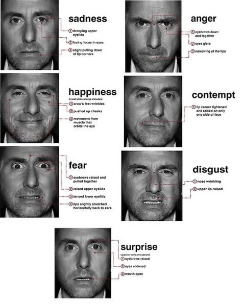 7-Facial-Expressions